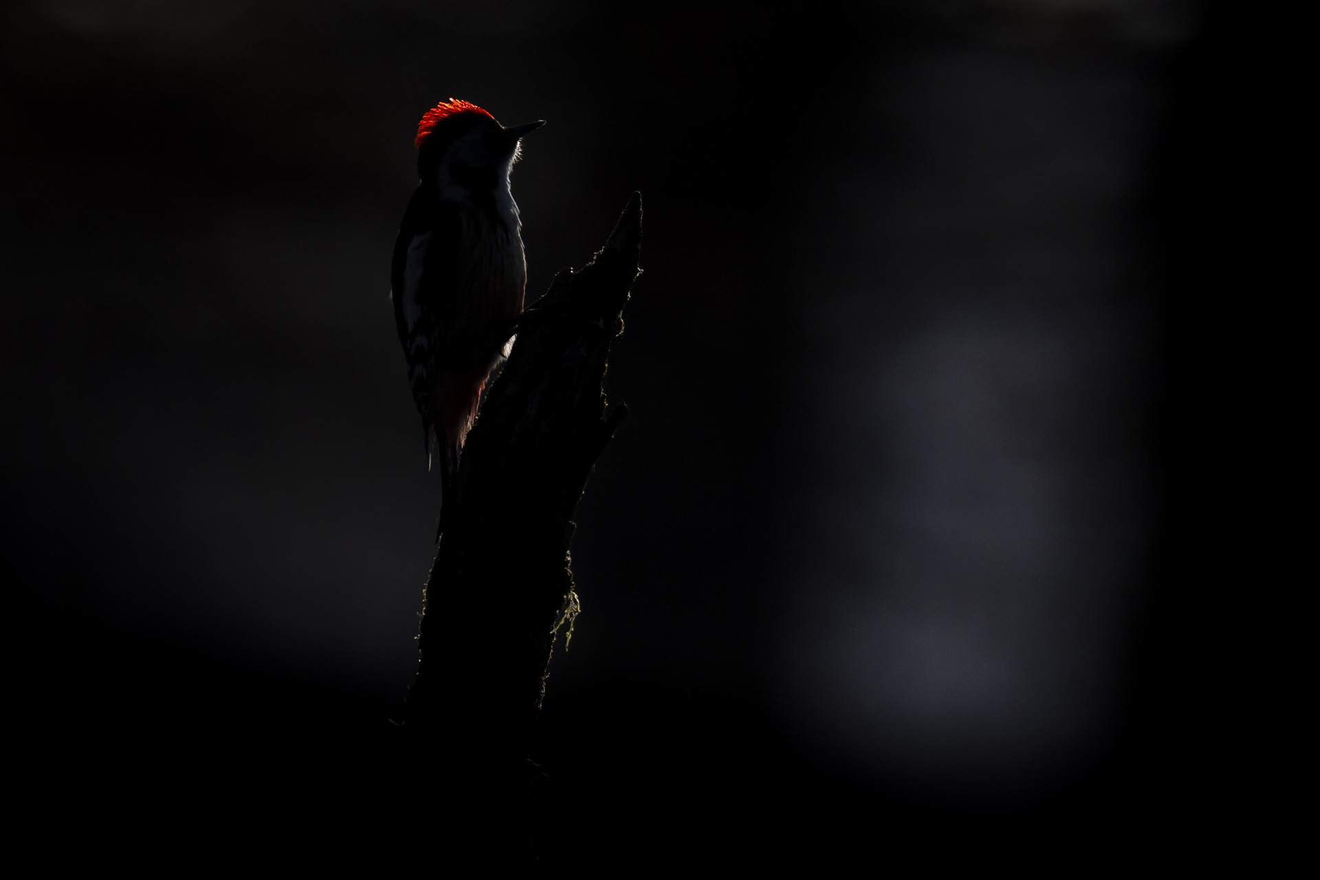 photographie-de-nuit-stage