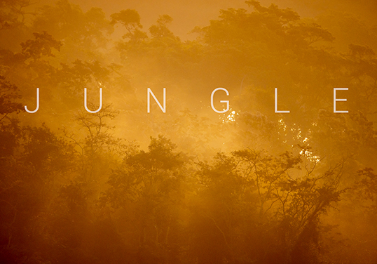 Jungle