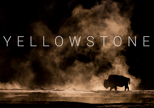 Yellowstone