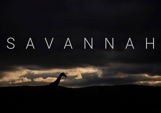 Savannah